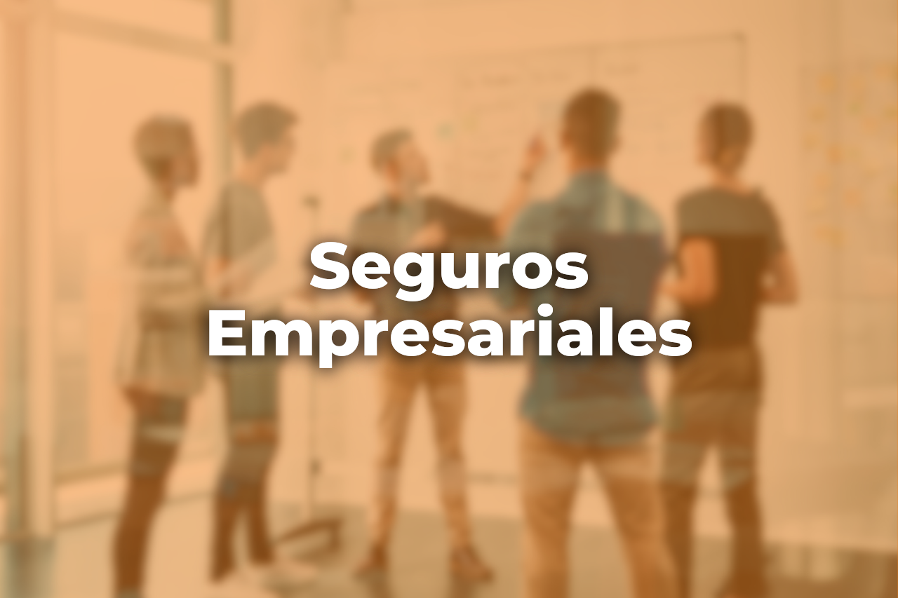 Seguros Empresariales