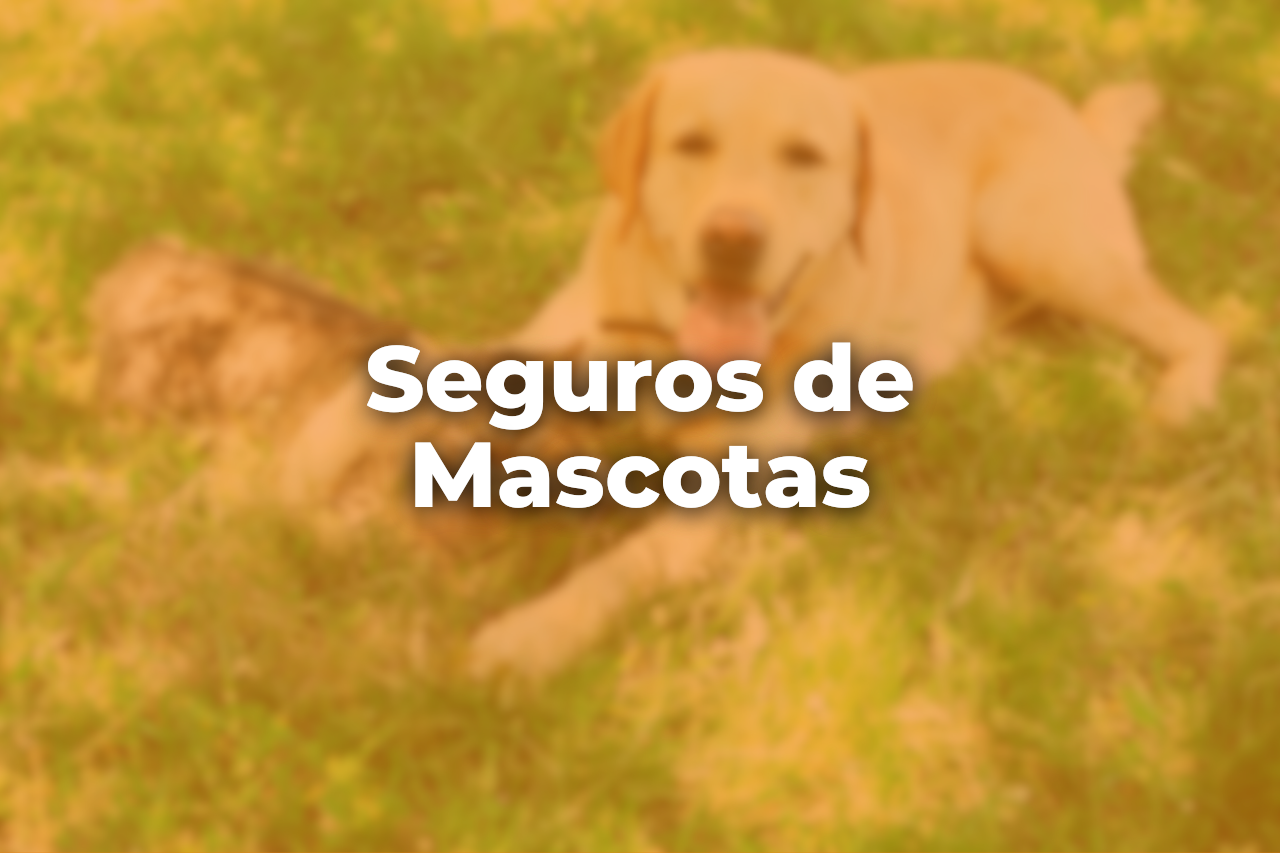 Seguros de Mascotas